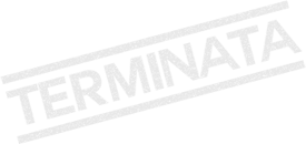 Fase Terminata
